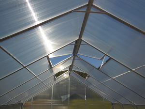 Invernadero Pequeño Moderno <span class=keywords><strong>para</strong></span> Jardín, Patio Trasero, Cultivo de Plantas, Aluminio con Vidrio de Policarbonato, Invernadero Exterior - Product Image 4