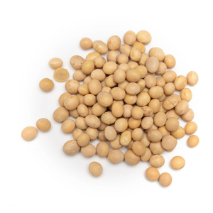 Graines de Soja Premium de Haute Qualité pour Plantation Agricole, Taux de Germination Élevé, Vente en Gros, Fournisseur d'Exportation - Product Image 1