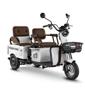 Electric Tricycle with LED Light & Horn 3 Speed Lead-Acid Battery 600W 48V Safe Night Riding - Product Image 1