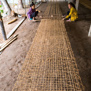 ผู้ผลิตตาข่ายใยมะพร้าวเวียดนาม |   ตาข่ายใยธรรมชาติ 100% สำหรับควบคุมการกัดเซาะและจัดสวน ตาข่ายใยมะพร้าวเป็นมิตรกับสิ่งแวดล้อม - Product Image 1