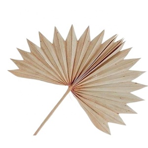 ADVAITH AVP 006 Feuilles de palmier découpées au laser pour la décoration de la maison et les mariages, disponibles en différentes tailles pour les fêtes, Halloween, Pâques, la Saint-Valentin - Product Image 1