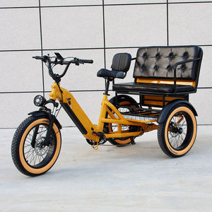 Triciclo Eléctrico Familiar para Adultos de Tres Ruedas, Bicicleta Eléctrica Vintage - Product Image 5
