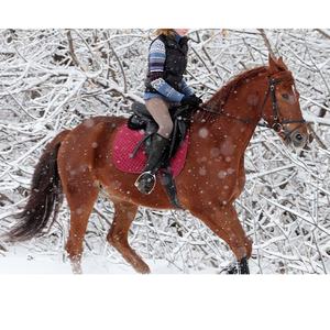 Pantalon d'équitation élégant et à la mode Culotte d'équitation Taille haute Culotte d'équitation pour femme Culotte d'équitation avec sport de plein air - Product Image 6