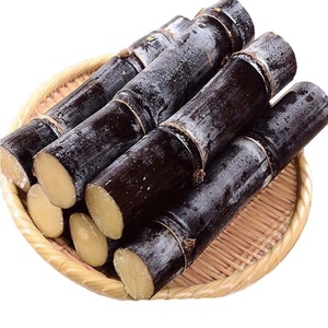 VDELTA Bâtonnets de canne à sucre frais et congelés du Vietnam au goût propre et juteux - Product Image 3