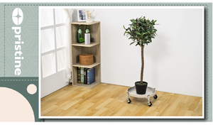 Soporte Multifuncional para Plantas de Hierro con Cuatro Niveles, Duradero y Móvil para Sala de Estar - Product Image 5