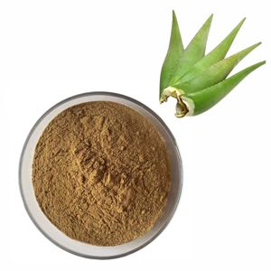 Polvo de Aloe Vera OEM 100% Puro y Natural, Mascarilla Facial Ayurvédica a Base de Hoja de Aloe Vera, Cuidado de la Piel, Hidratante para Piel Seca - Product Image 3