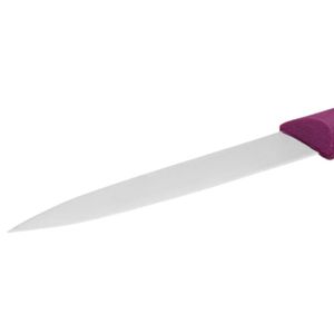Couteaux à éplucher de cuisine Purple Grip avec lame fine argentée et pointe affûtée pour couper les fruits, éplucher les légumes et la préparation quotidienne des aliments - Product Image 2