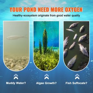 Kit Aeratore per Laghetto da 550W per Laghi da 50-1 Acri, Include Compressore da 3/4 HP e Tubi Pesati da 100 Piedi per Macchine Aeratrici per Acquacoltura - Product Image 2