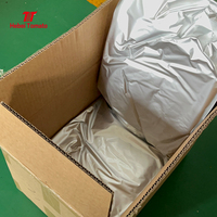 Poudre de tomate pure naturelle séchée par pulvérisation, sac de 25 kg, assaisonnement de tomate déshydratée, ketchup, pour la fabrication de pizzas, Halal, en vrac, usine Hebei Chine