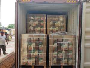 Coco Peat de Alta Calidad, Bloque de 5 kg, Alta Retención de Agua, Absorción de Nutrientes, Biodegradable para Uso Agrícola - Exportador GEEWIN EXIM - Product Image 6