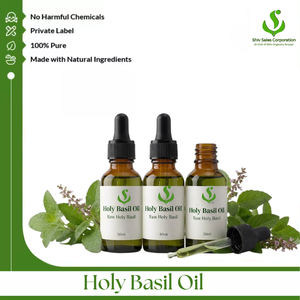 Exportador a Granel de Aceite Esencial de Albahaca Sagrada que Ofrece Suministro Confiable para Importadores Internacionales, Fabricantes de Cosméticos y Uso Personal - Product Image 1