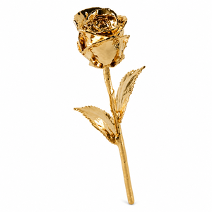 Rosa Real Bañada en Oro de 24k de Alta Calidad, Regalo Único y Romántico para Ella en San Valentín y Aniversarios, con Caja de Regalo de Lujo en Oro - Product Image 1