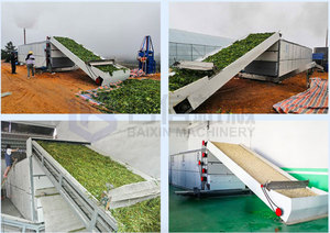 Secador de jengibre Equipo de secado continuo automático Deshidratador Máquina de secado de hojas de verduras - Product Image 5