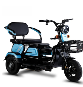 Tricycles électriques 800W 1000W, vélo cargo électrique à 3 roues, petit scooter domestique, tricycles électriques réglables à trois places - Product Image 3