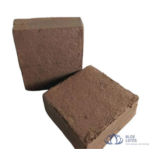 Meilleures ventes : Bloc de tourbe de coco compressé de haute qualité, durable et à faible EC – Substrat écologique et organique pour serres, le plus vendu - Product Image 1