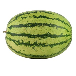 Pastèque fraîche biologique, juteuse et délicieuse, au goût naturellement sucré, haute qualité, livraison rapide, commande en gros, prix bas - Product Image 6