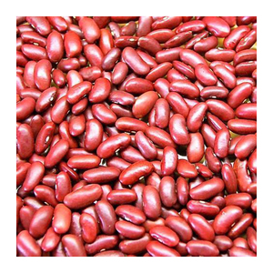 Fournisseur en gros de haricots rouges de la meilleure qualité à vendre à prix avantageux, haricots rouges de qualité supérieure en gros à prix réduit - Product Image 1