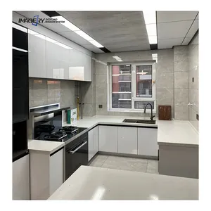 Imagery aluminum kitchen cabinet color lacquer modern high technical cabinet frame