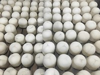 VILA Merk Tropisch Fruit Vietnam Ben Tre Gehele Jonge Kokosnoot Makkelijk Openbaar met Rietje 100% Natuurlijk GMO-vrije Teelt Leverancier/ ANNA DO