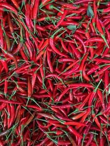 Premium IQF Frozen <b>Red</b> <b>Hot</b> Chili Pepper Whole Stemless Food Grade Vietnam Origin Bulk Supply - Product Image 5