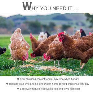 Mangiatoia Automatica per Polli da 30 Libbre, Design Resistente alle Intemperie con Struttura in Acciaio Zincato e Alluminio - Product Image 6