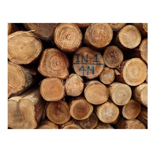 Bûches rondes en bois dur de grande taille, personnalisées, de haute performance et fabriquées avec des matériaux fiables - Product Image 1