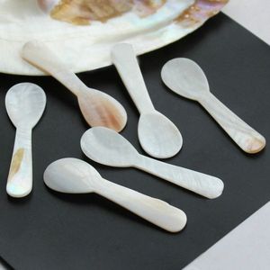 Cuillère à caviar décorative de luxe en nacre, faite à la main, coquille naturelle, pour une présentation exclusive à table - Product Image 1