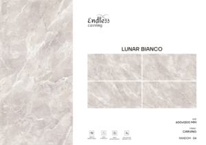 Azulejos de porcelana con aspecto de mármol premium, tallados, tamaño 600x1200, formato grande para diseño moderno de paredes, pisos y elevaciones interiores. - Product Image 2