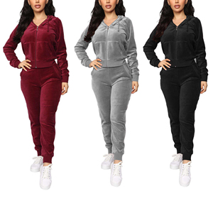 Sudaderas de Forro Polar Grueso de Alta Calidad al por Mayor, Conjuntos Deportivos de Terciopelo para Mujer, Trajes de Felpa para Mujer 2026 - Product Image 1