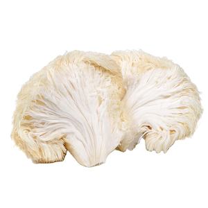 เห็ดแผงคอสิงโตของเวียดนามสำหรับการปรุงอาหารคุณภาพที่ดีที่สุดในวันหยุดเวียดนาม - Product Image 1
