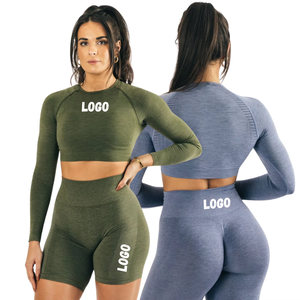Conjunto Deportivo de Manga Larga sin Costuras con Logotipo Personalizado al por Mayor para Mujer, Pantalones Cortos de Cintura Alta, Fabricante de Ropa Deportiva de Marca Privada - Product Image 1