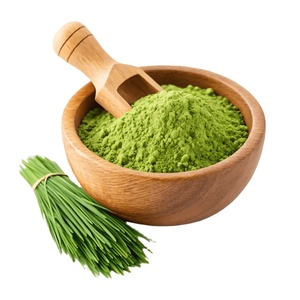 Poudre de Blé Vert en Gros OEM, Mélange de Boisson Super Alimentaire Naturelle, Riche en Antioxydants, Poudre de Complément Alimentaire Végétal en Vrac de Qualité Alimentaire - Product Image 1