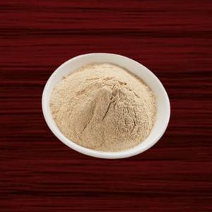 Poudre d'ail séché biologique premium en vrac, haute qualité, pour formulations alimentaires instantanées, exportateur d'Inde au meilleur prix, export Desi - Product Image 2