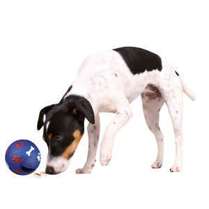 Pelota de Actividad Trixie para Perros, 11 cm, Juguete Interactivo para Mascotas - Product Image 6