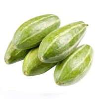 Exportation de courges vertes pointues fraîches de qualité supérieure du Bangladesh