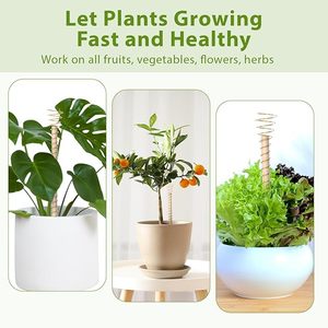 Estaca de Cobre Ecológica Natural para Cultivo de Plantas y Salud, de Fabricante y Proveedor Indio - Product Image 4