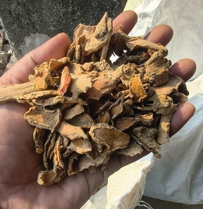 Curcuma Lakadong naturel séché et cru, riche en nutriments, 30 kg, pour la préparation quotidienne des repas à la maison, directement de l'usine à bas prix - Product Image 4