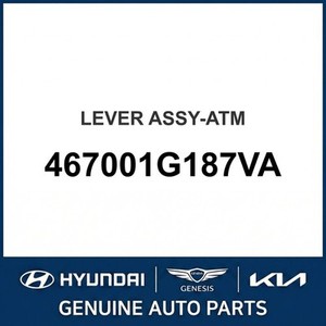 Rio Nouvelles pièces et accessoires pour voitures et camions 467001G187VA - Product Image 1
