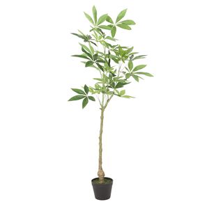 Albero della Fortuna Artificiale Pachira da 47,2 Pollici, Piante da Interno Durevoli - Product Image 2