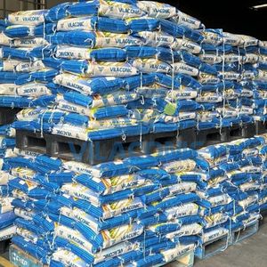 VILACONIC BULK ST25 Arroz Aromático de Grano Largo, El Mejor Arroz del Mundo 2019, Calidad Premium, Origen Vietnam - Product Image 3