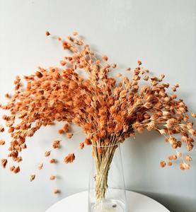 Flor de Bambú Seca Natural 100g, Venta al por Mayor de Fábrica, Ramo Floral para Boda, Diseño Erawan, 3-5 Años de Vida Útil, Tailandia - Product Image 2