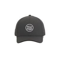 Casquette de golf OEM imperméable à séchage rapide avec perforations laser, logo brodé 3D personnalisé, respirante, à fermeture snapback pour l'entraînement en extérieur