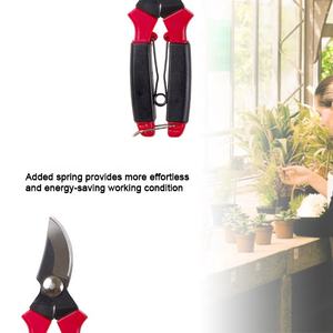 [Handy-Age]-กรรไกรตัดสวน (GN0504-056) - Product Image 2