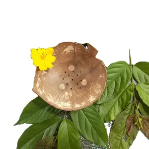 天然雕刻椰子皂菜托盘支架椰子壳肥皂可生物降解的盘子/装饰黑木肥皂支架免费标志