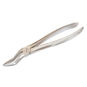 Pinzas para Extracción de Raíces Dentales # Pinzas de Extracción Dental de Acero Inoxidable de 51 mm para Procedimientos Quirúrgicos de Raíz Superior - Product Image 2