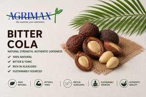 Nuez de Cola Amarga, Producto Agrícola Crudo para Aplicaciones de Procesamiento de Ingredientes en la Industria Alimentaria - Product Image 1