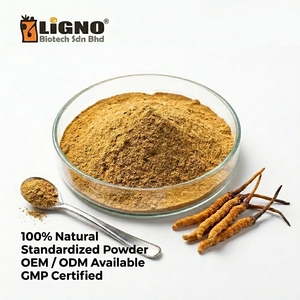 ผงตัวผลเห็ดถั่งเช่าสีทอง LiGNO OCS02 ออร์แกนิก อบแห้งแบบเย็น เกรดอาหารเพื่อสุขภาพ ส่วนผสมสำหรับเครื่องดื่มเพิ่มพลังงาน รับผลิตแบบ OEM ODM - Product Image 1
