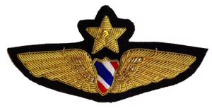 Badge décoratif personnalisé en fil de broderie bouillon, à coudre ou thermocollant, fil doré, pour vêtements, vestes, casquettes, uniformes, mode - Product Image 5