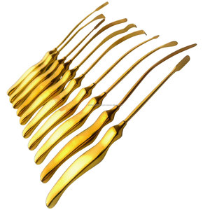WORLD PRECISION SURGICAL Juego de Elevadores Quirúrgicos para Cuero Cabelludo, 10 Piezas, Acero Inoxidable, Reutilizables, Instrumento Manual para Cirugía Plástica y ORL, CE - Product Image 1