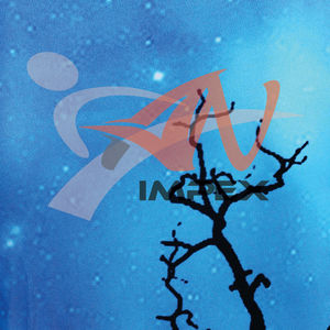 Camiseta de sublimación para hombre de alta calidad, muy vendida, ligera, precio razonable, tela suave, 100% algodón, camiseta estampada. - Product Image 4